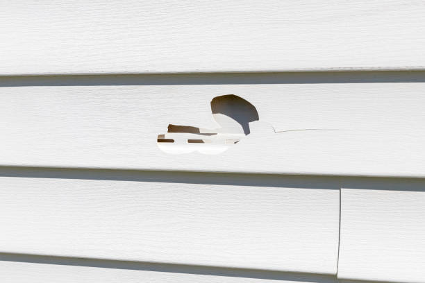 How To Choose The Right Materials for Your Siding Installation in 'Rincon, GA